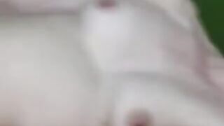 granny gives up her holes