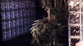 Ebony and White In Living Color (1992, US, full movie)