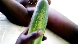 lost cucumber