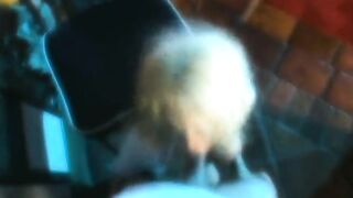 Slender golden-haired with massive melons gets banged hard in her taut anal opening