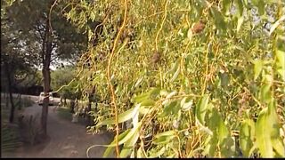 Night Shock! (Full Clip)