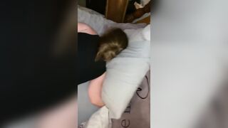 Bull impregnated her cause sissy hubby owed him $5