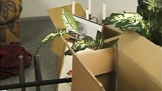 Amateur Lady fickt jungen Schwanz auf Daybed - LostFucker