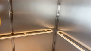 Public pleasure in changing room and restaurant with Lush remote controlled sex tool