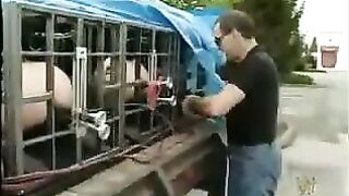 Abode Of Gord - Trouble At The Abode Of Gord