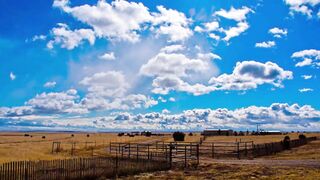 Very 1St Ever Country Music Porn Movie By Brock Cummings (Original Texas Music)