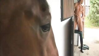 Ride Em Hard - Scene two - Pacific Sun Entertainment