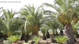 Schokomaus - Pink Madame