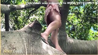 Wife Climbs Trees With No Pants On 5 Min