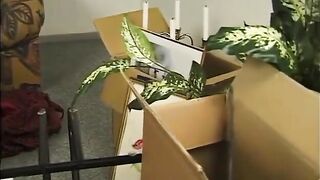 Amateur-Lady fickt jungen Schwanz auf Bed - LostFucker