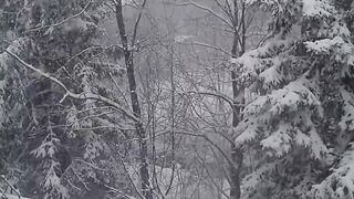 Christmas Horror Stories that took Place During Snowstorms