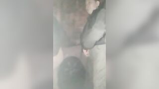 Field 3P direct seeding