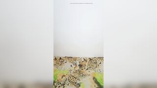 I guess your stepmother loves u 'coz this babe's provoking u.