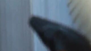 They're all over fifty