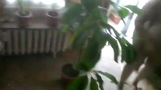 The thick breasty housekeeper