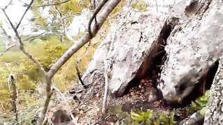 Travel with my boyfrend Artist