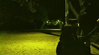 My spouse took me for a walk in the park with a leash around my neck. Then that guy wanted me to suck