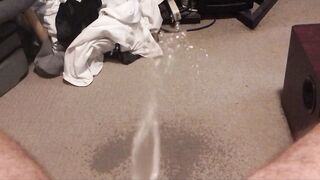 Also Slothful To Get Without Couch... Oops, I Voided urine on my Bedroom Carpet !!!