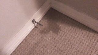 Peeing on My Bedroom Carpet in the Midst of the Night