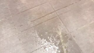 POV Yellow Morning Force Void urine Leaves Biggest Puddle on Kitchen Floor