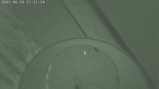 Cuck listens to 100% Real cheating wife get pounded in hotel room-sees her used snatch tomorrow!