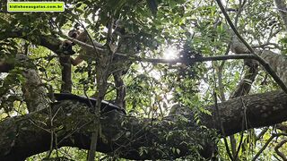 strange to assist me go upstairs so I can give him a oral job