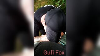 Gufi Fox