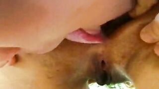 Clydesdale - Asstrative - scene 1 - extract three