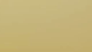 Ideal German honey swallows cum after hardcore screw