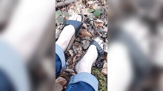 A little sunshine in the forest