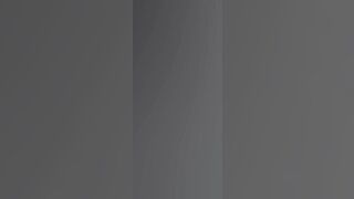 Flock of birds over Vercelli