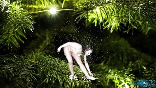Dance Of The Christmas Fairy- hawt sugarplum fairy shares holiday magic