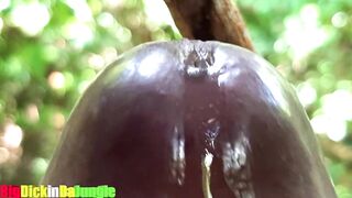 My Leaking Precum is sufficiently to fill up your Taut Cunt Extraordinary Close Up Precum Play (Loud Groaning)