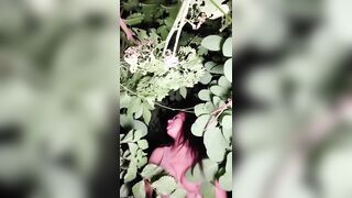 Step sister Gives Her Entire Heart and Body Salute to Spouse ??
