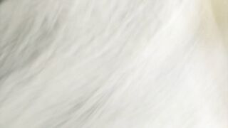 Golden-haired Older stepmom has nipps climax & pussyfucking close up!