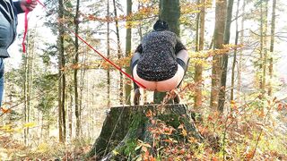 Anal Anal intercourse Void urine Slut
