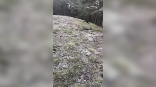 Have a fun Riga hotty's soaked forest pissing