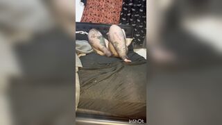 Ridding Crop and Feet