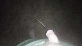 Peeing in Public - 2GdI