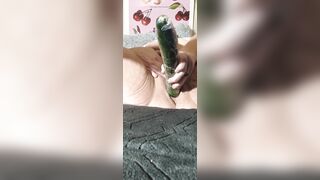Can I Have Your Seed Massive Cucumber?
